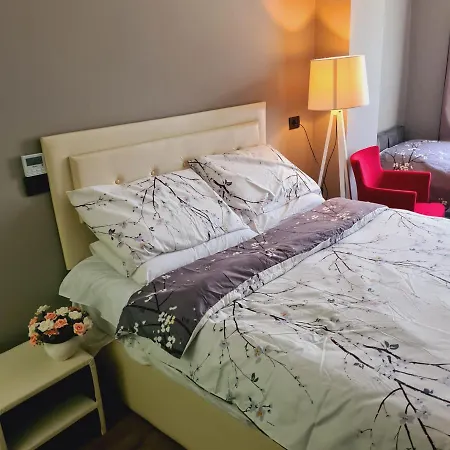 T Hotel City Tirana - Hotel Driti